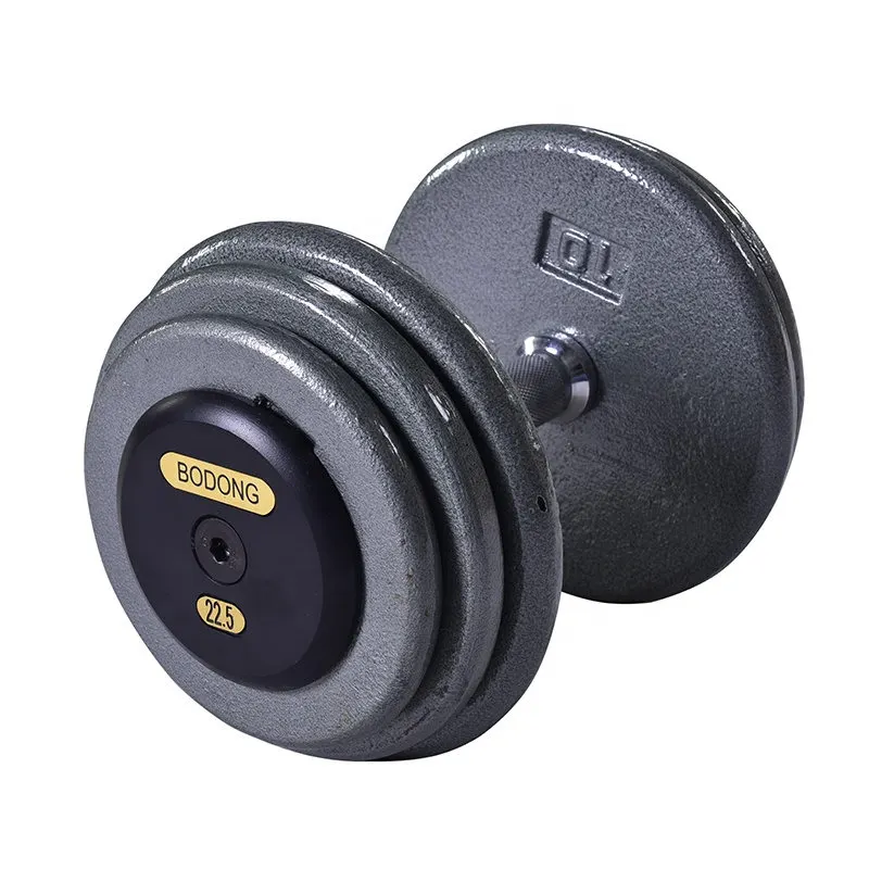 OEM China China 2021 Body Building Home Exercise Cast Iron Dumbbell